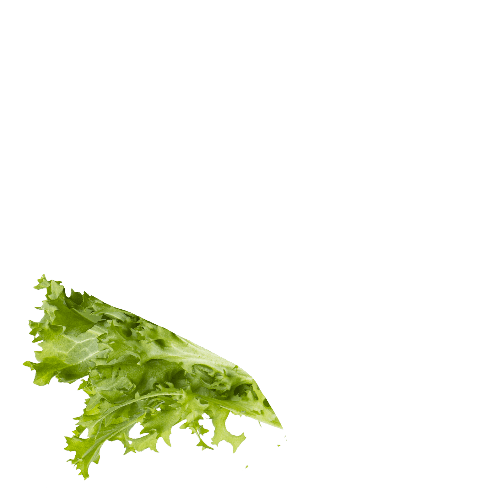 NON ROMPIAMO