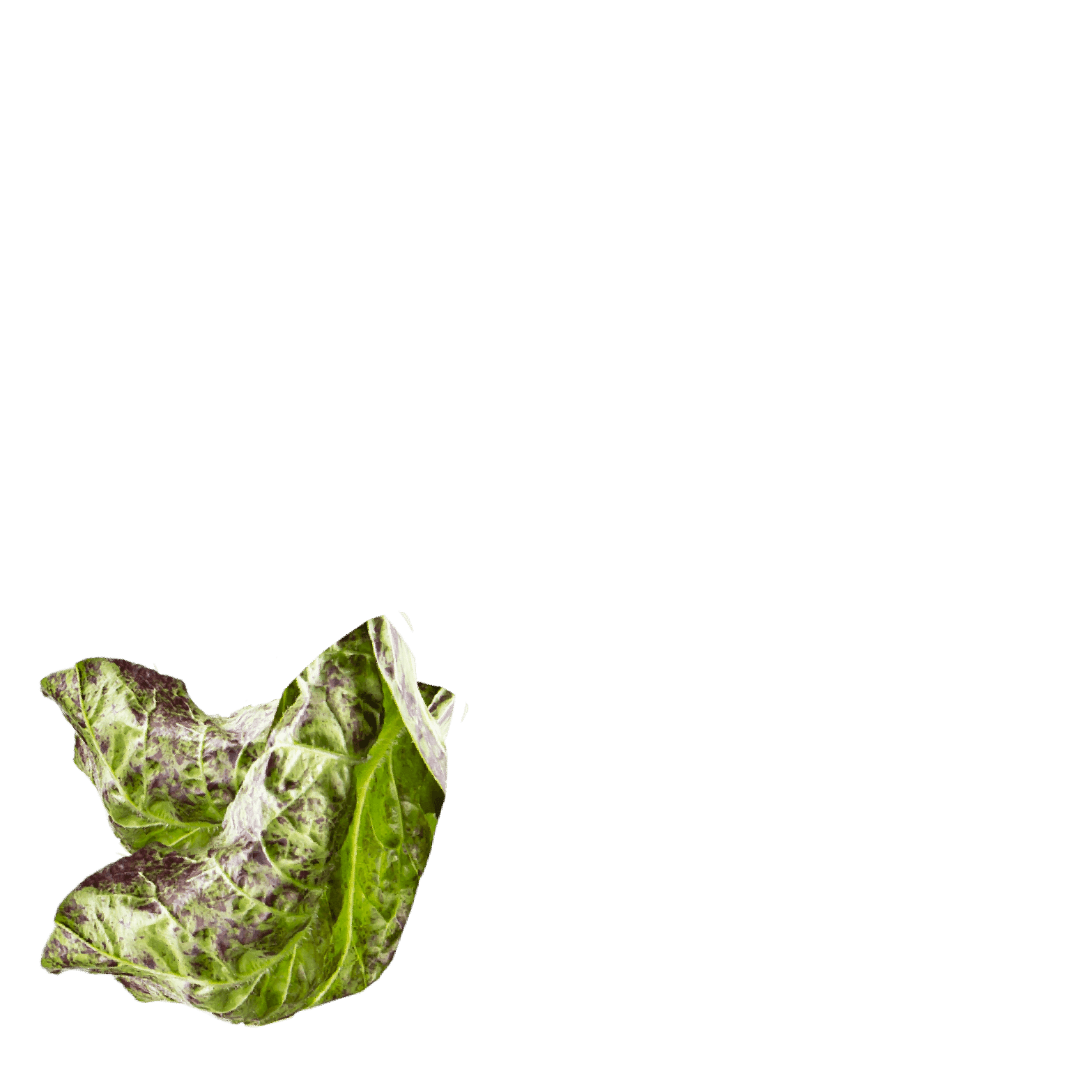 NON SCHERZIAMO