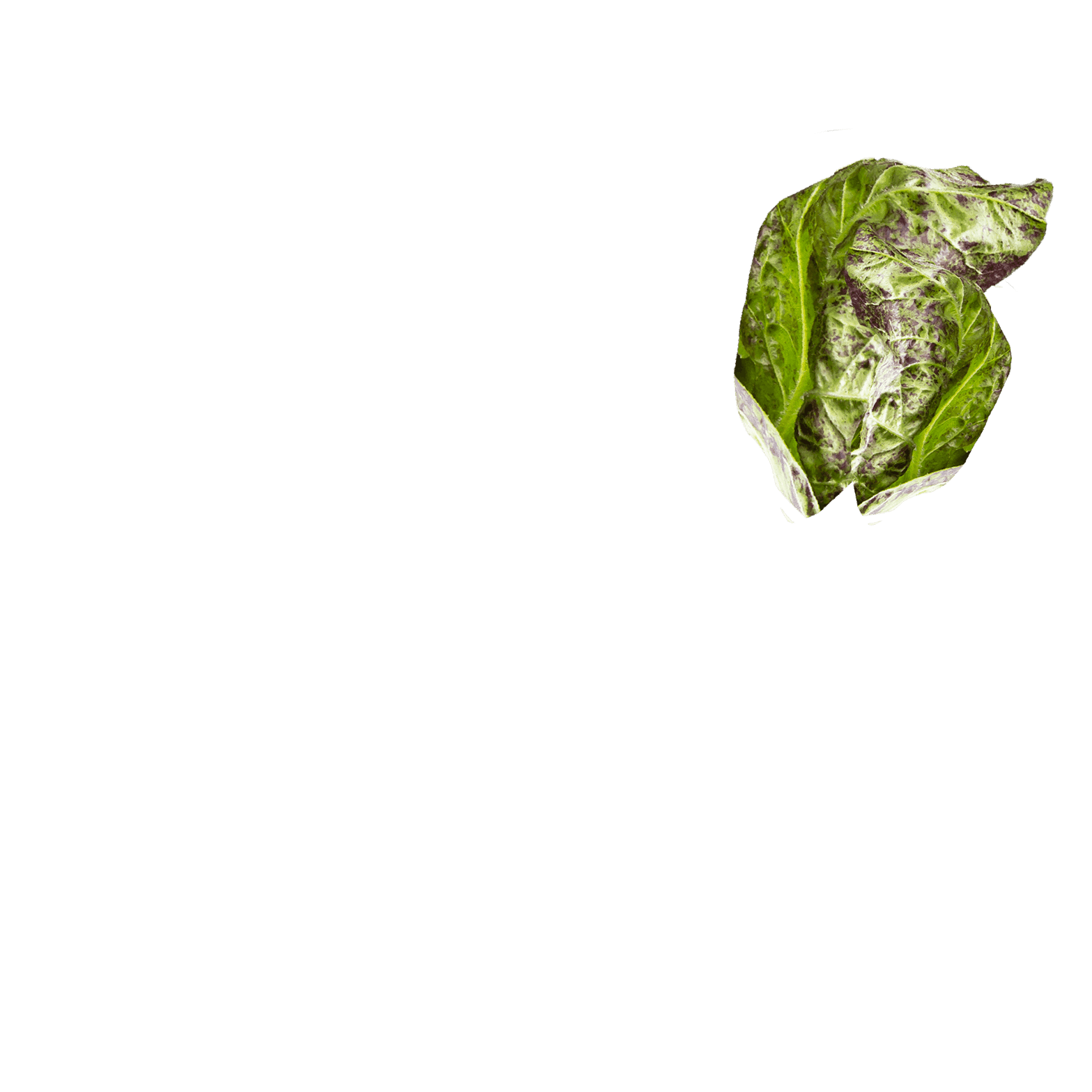 NON SCHERZIAMO
