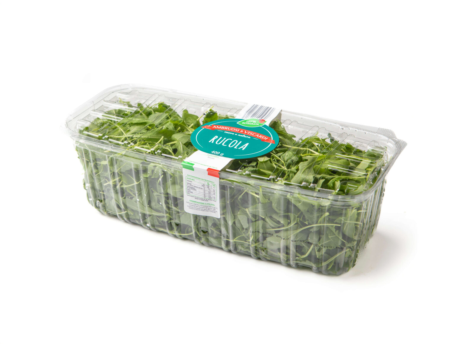 Rucola